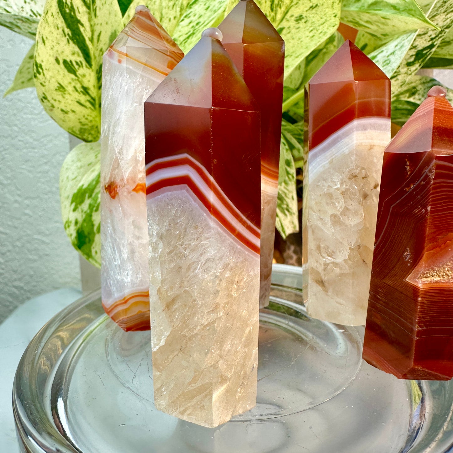 Carnelian Agate Points
Vitality | Creativity | Confidence