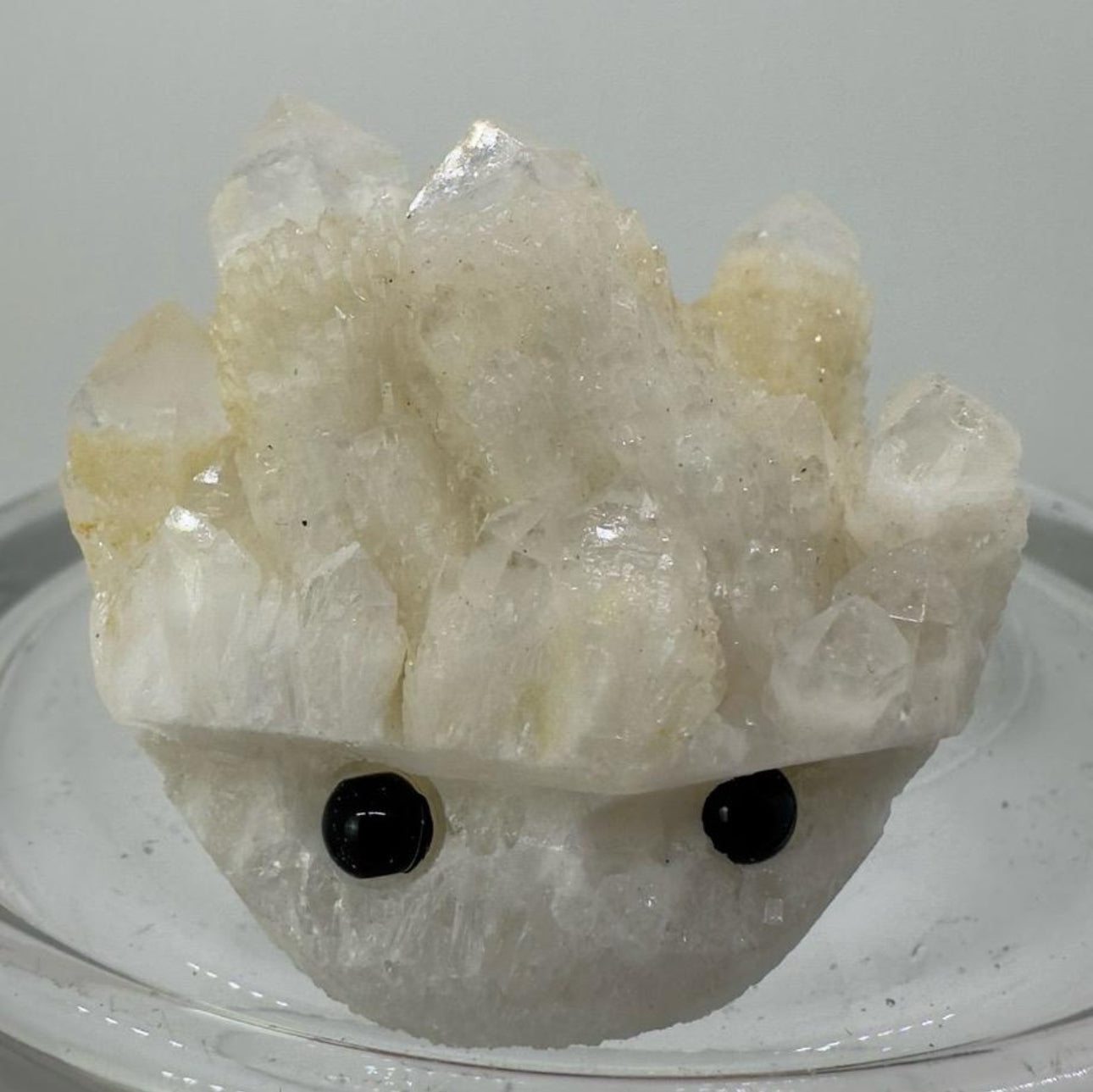 Crystal Critters - Specimen