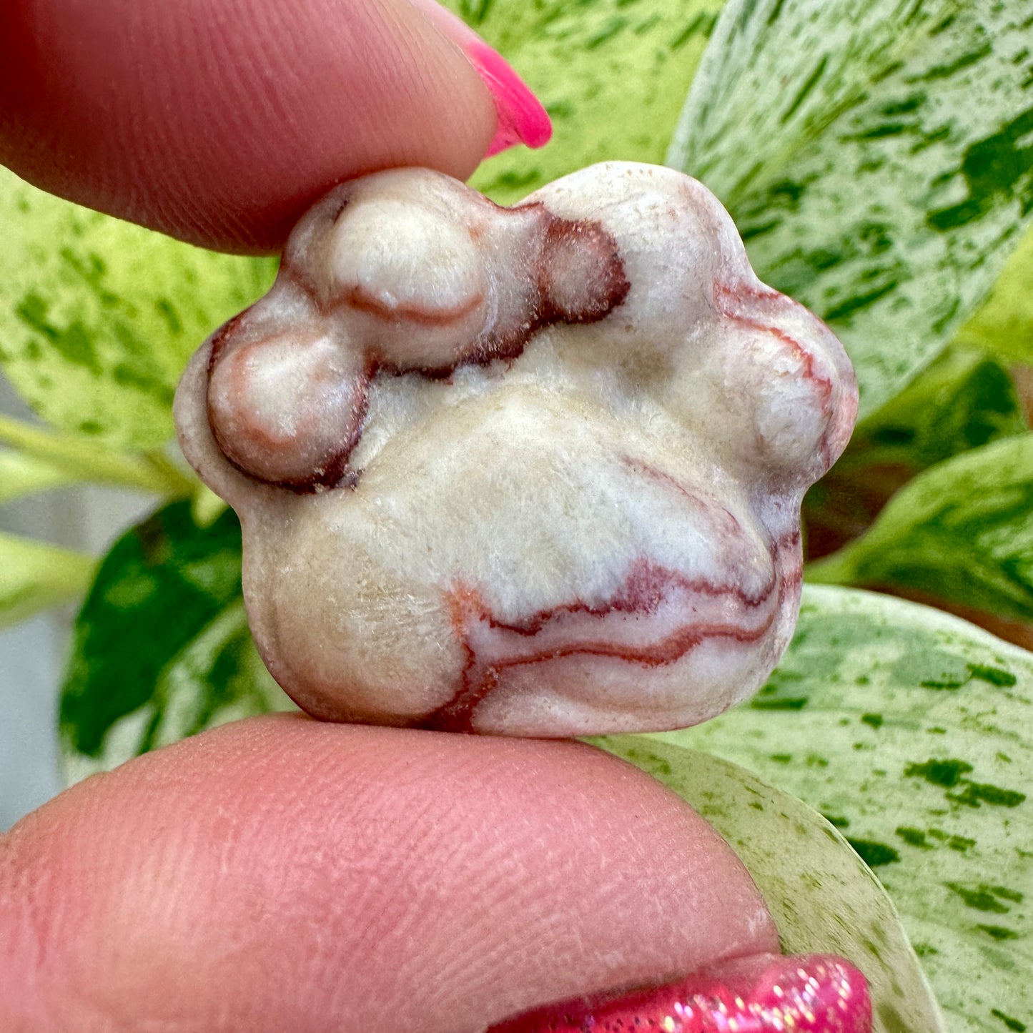 Crystal Pet Paw