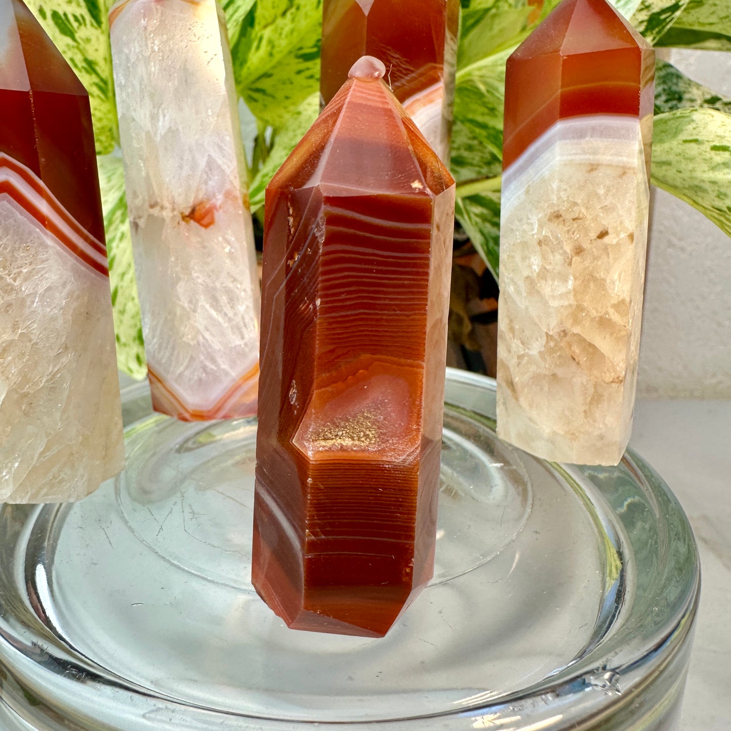 Carnelian Agate Points
Vitality | Creativity | Confidence