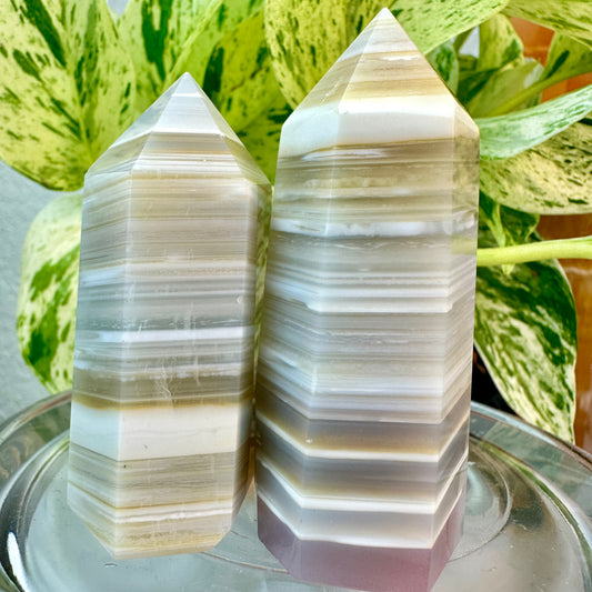 Botswana Agate Points — 2.5 to 2.8 inch
Emotional Support | Stability | Soothing Energy
✨ Intuitively Chosen for You ✨