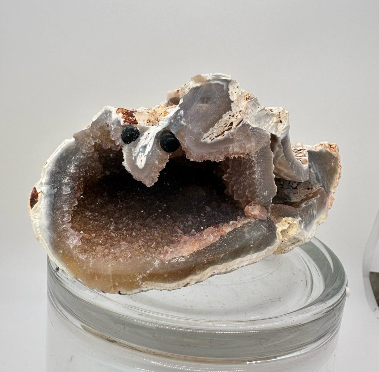 Crystal Critters LARGE