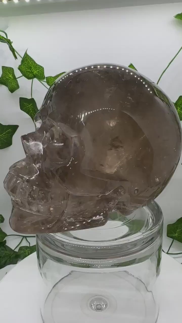 7lb High Quality Smoky Quartz Skull(A) Skull Decor, Natural Crystal Skull, Hand Carved Skull, Crystal Skull, Reiki Healing Statue collection
