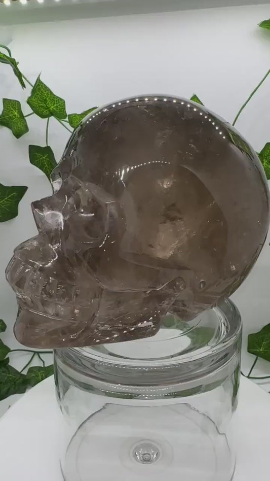 7lb High Quality Smoky Quartz Skull(A) Skull Decor, Natural Crystal Skull, Hand Carved Skull, Crystal Skull, Reiki Healing Statue collection