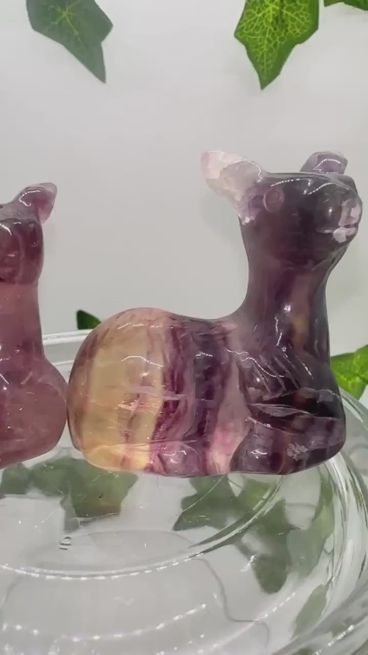 2in Rainbow Fluorite Deer Family, Crystal Carving, Crystal Animals, Deer Statue, Deer Figurine, Cottagecore, Collectables, Crystal Healing