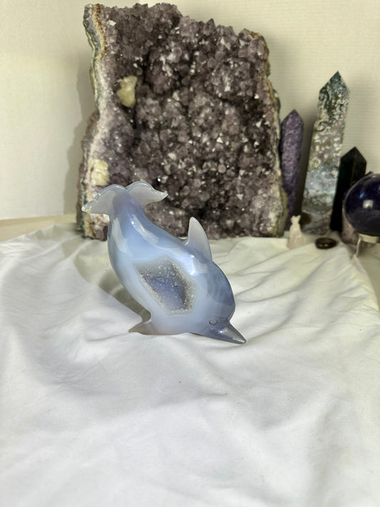 Stunning DRUZY Banded Blue Agate Dolphin Carving (A) Druze, hand-carved ,Agate, enhance, calm, security, peace - Katie's Mystic Crystals