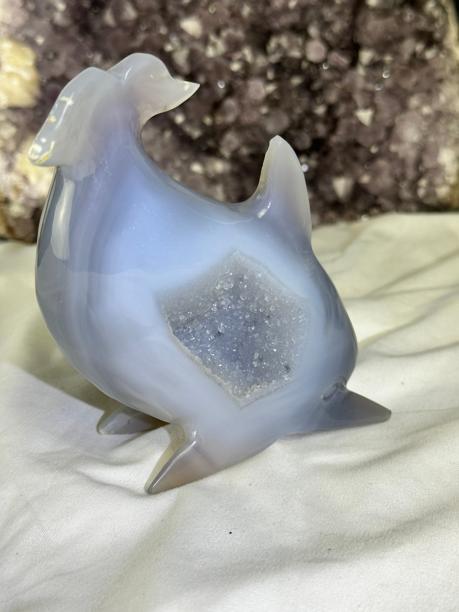 Stunning DRUZY Banded Blue Agate Dolphin Carving (A) Druze, hand-carved ,Agate, enhance, calm, security, peace - Katie's Mystic Crystals