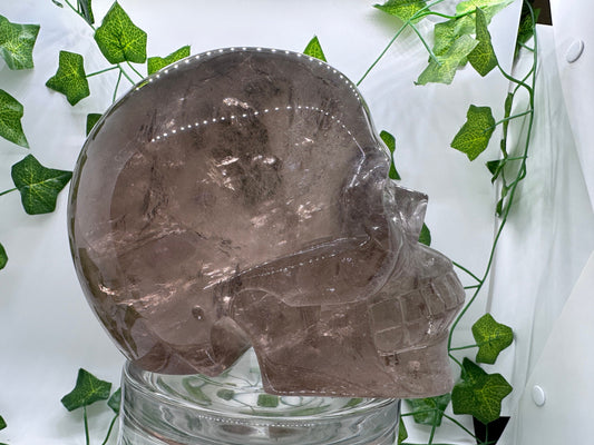7lb High Quality Smoky Quartz Skull(A) Skull Decor, Natural Crystal Skull, Hand Carved Skull, Crystal Skull, Reiki Healing Statue collection