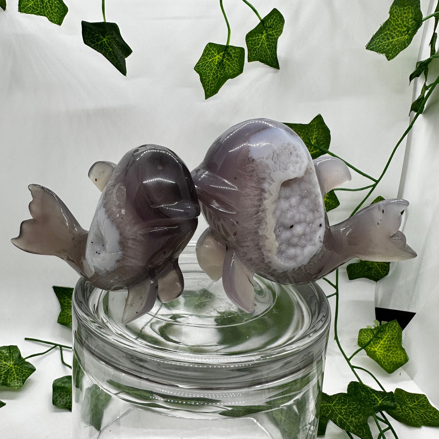 Snowdrift DRUZY Agate Whale Pair Carvings (A) - Katie's Mystic Crystals