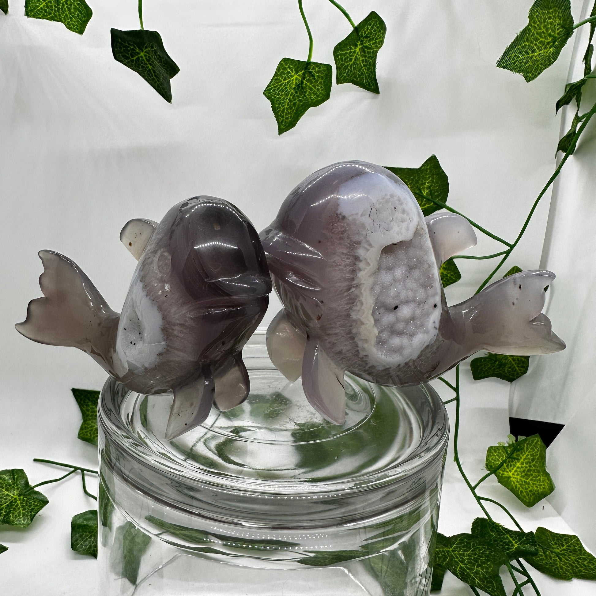 Snowdrift DRUZY Agate Whale Pair Carvings (A) - Katie's Mystic Crystals