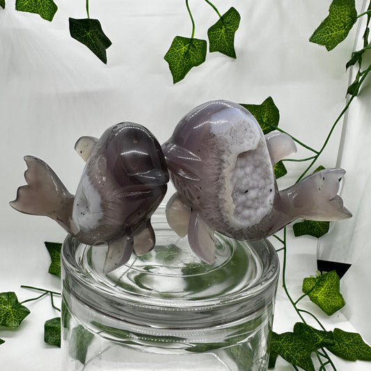 Snowdrift DRUZY Agate Whale Pair Carvings (A) - Katie's Mystic Crystals