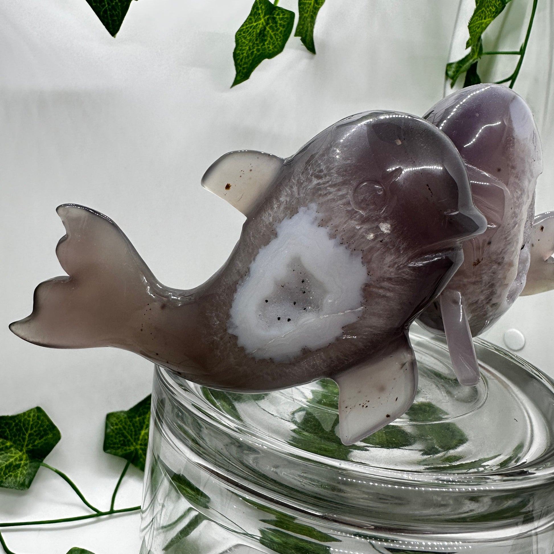 Snowdrift DRUZY Agate Whale Pair Carvings (A) - Katie's Mystic Crystals